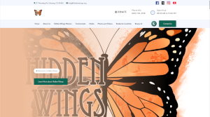 Hidden Wings